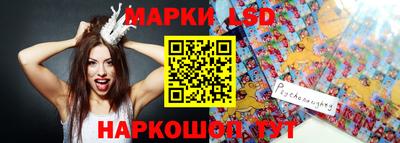 mdpv Гатчина