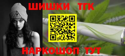 mdpv Гатчина
