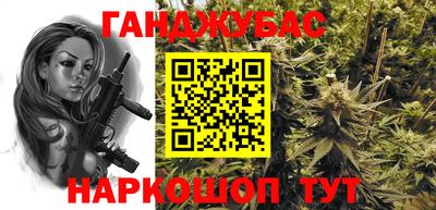 mdpv Гатчина